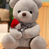 Hugging Roses Teddy Bear Plush Pillow