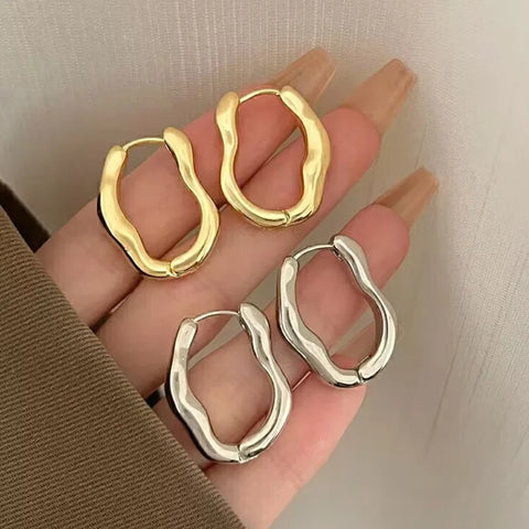 Vintage Metal Geometry Hoop Earring Fashion New Design Irregular Minimalist Earrings for Women Fashion Jewelry Gift 2023 - Total Trends Fusion