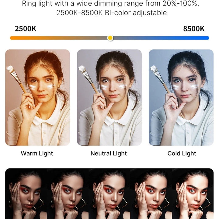 Ulanzi U200 U-200 Smartphone Video Rig  LED Video Light 2 in 1 Ring Light Cold Shoe for Microphone Tiktok Youtube Live Rig Light