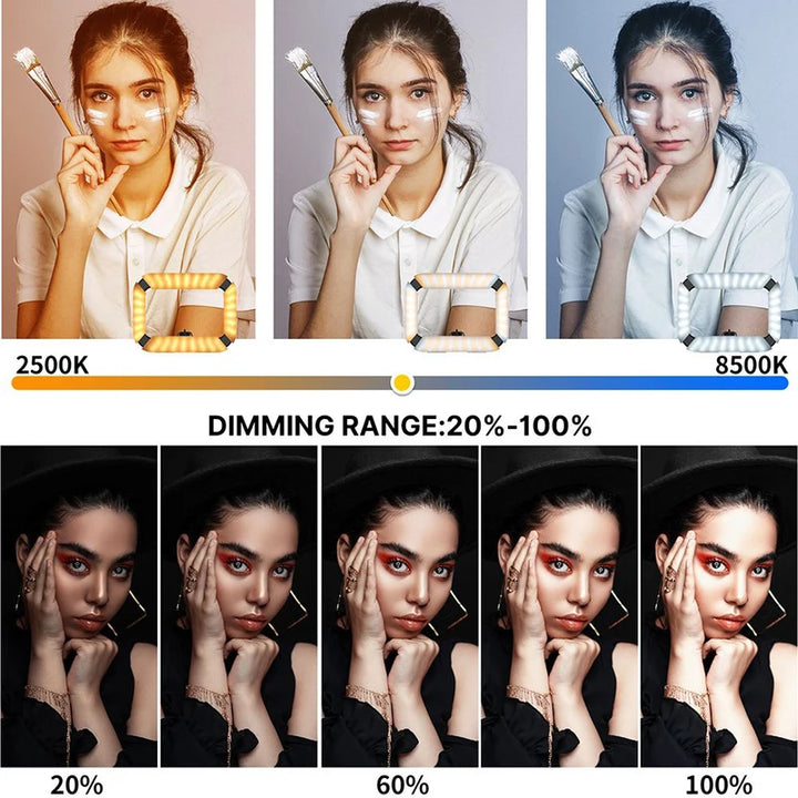 Ulanzi U200 U-200 Smartphone Video Rig LED Video Light 2 in 1 Ring Light Cold Shoe for Microphone Tiktok Youtube Live Rig Light - Total Trends Fusion